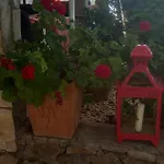 Hoots Bistro Bed & Breakfast *